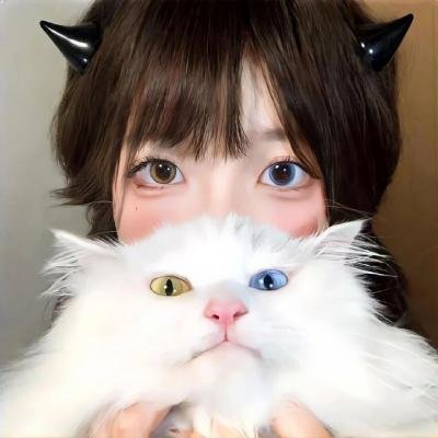 献给检察官的玫瑰花海报